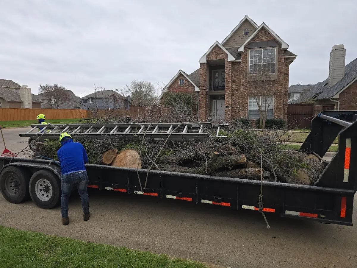 Expert Lot Clearing with proper safety equipment in Avon